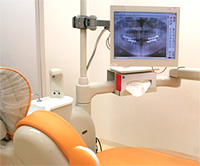 �J���G�X�t���[�i�ނ����[���j