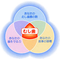 �ނ����̌����\