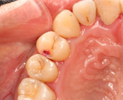 �ނ������m�t�Ő��߂����ꂽ�ނ���